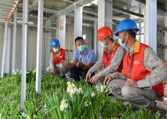 福建：漳州供电公司可靠供电支持现代农业发展
